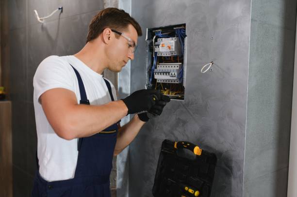 Best Electric Panel Repair  in Elizabethton, TN